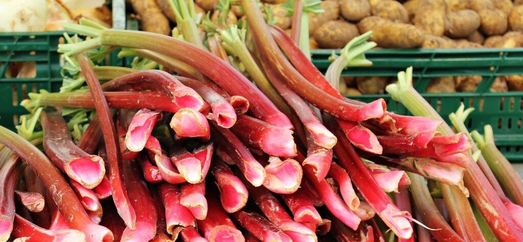rhubarb